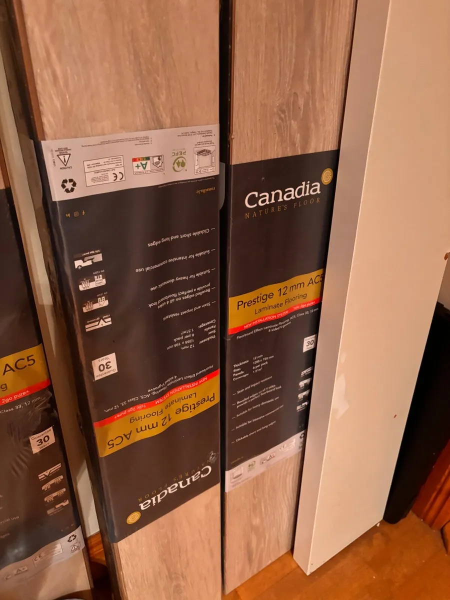 Laminate flooring AC5 12mm light oak Canadia Porto - Image 4