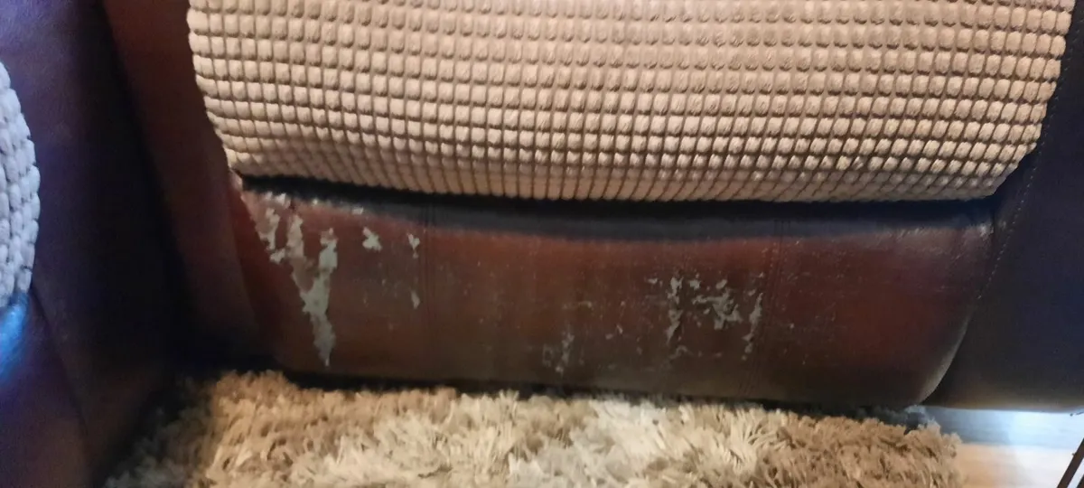 Arm chair and two piece couch - Image 3