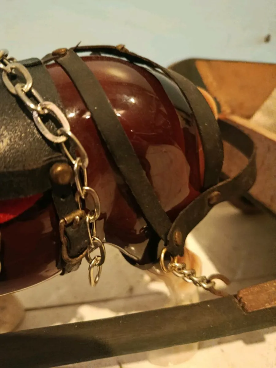 Irish traveller/gypsy horse and cart - Image 4