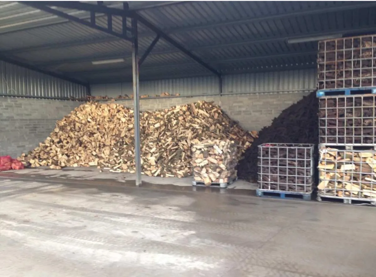 Firewood hardwood - Image 3
