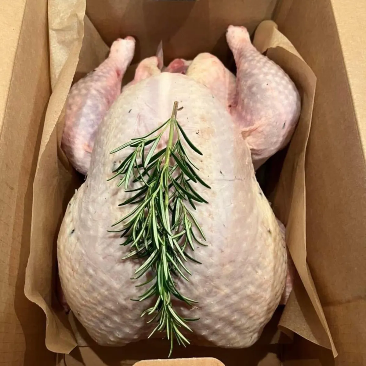 Christmas turkeys for sale - Image 1