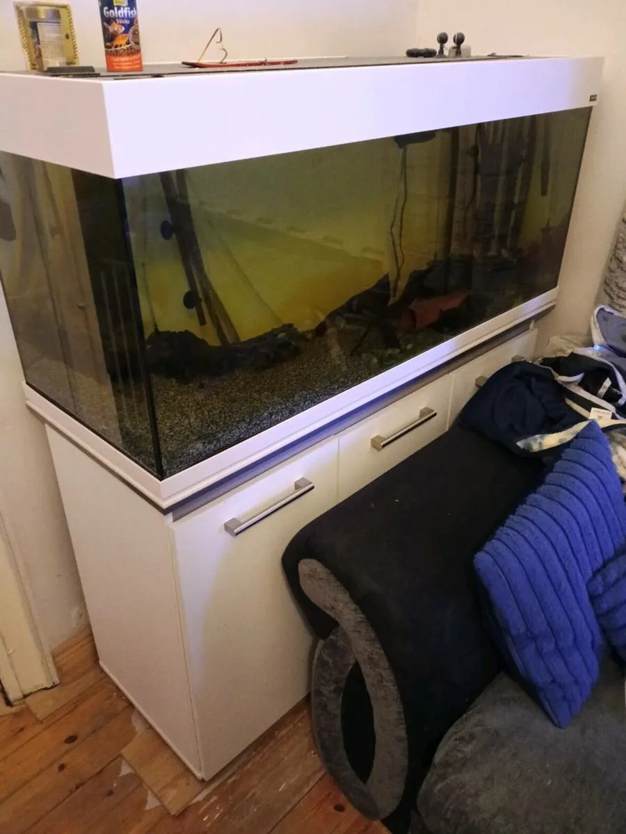 245ltr juel aqua one ill let I go for 500 - Image 1