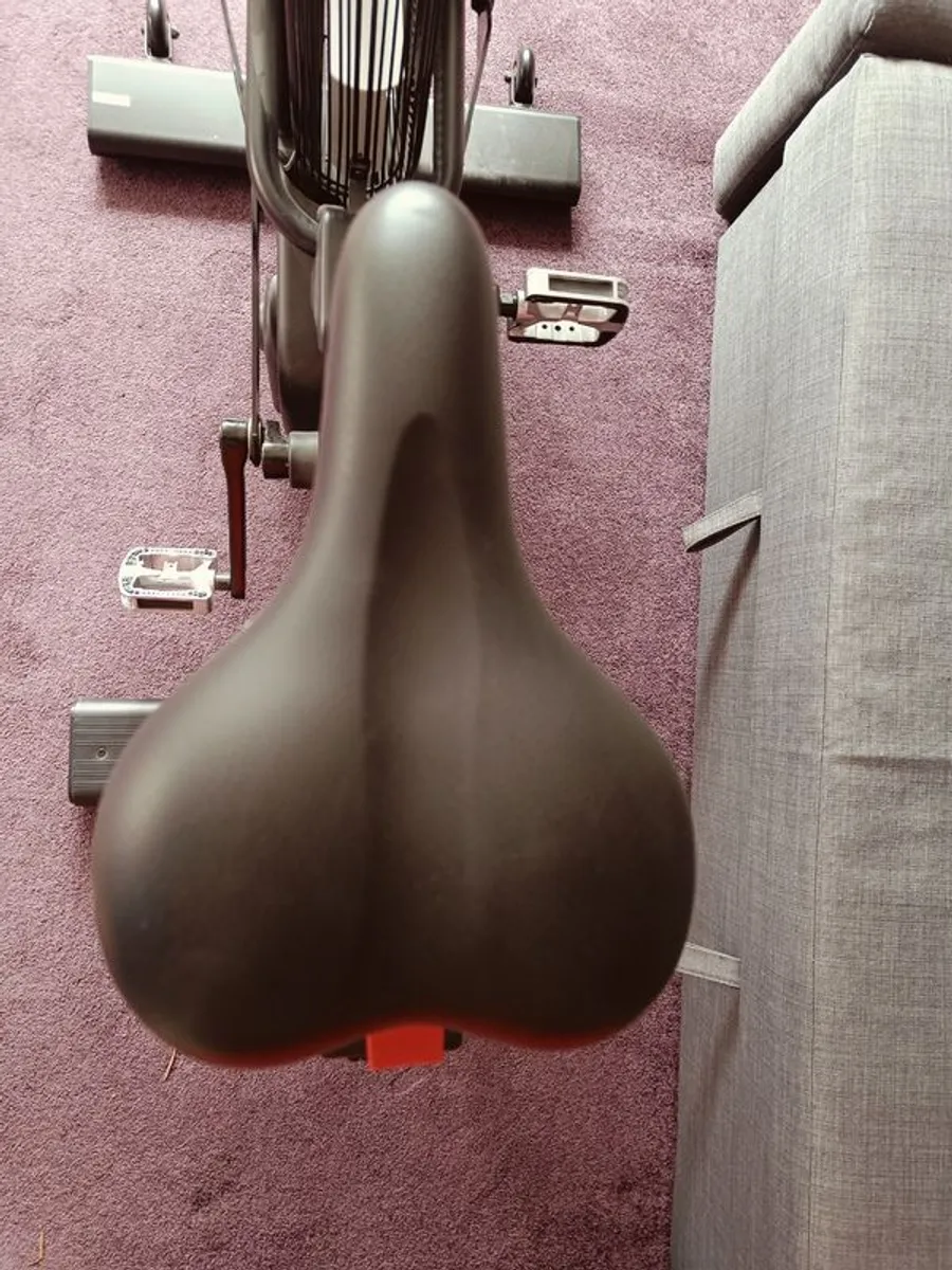 Rotocycle T2000 X Air Bike Excellent Condition - Image 4