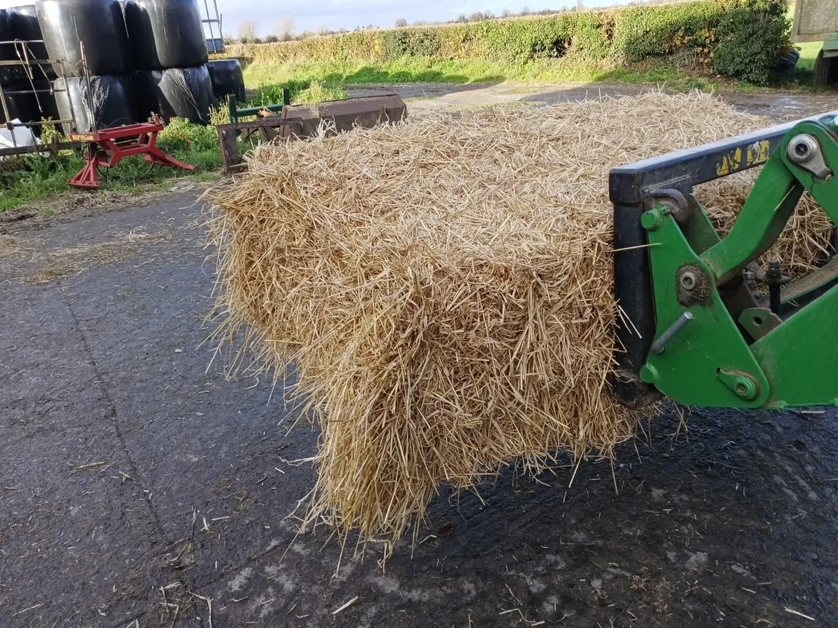 Barley Straw for sale in Co. Laois for €16 on DoneDeal