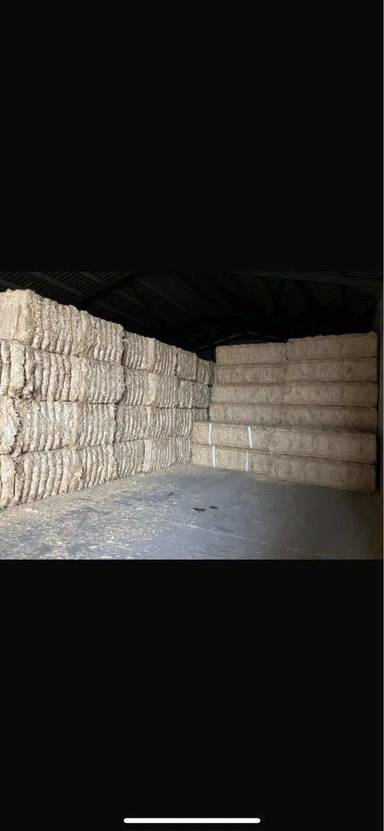 Spanish Straw - Image 1