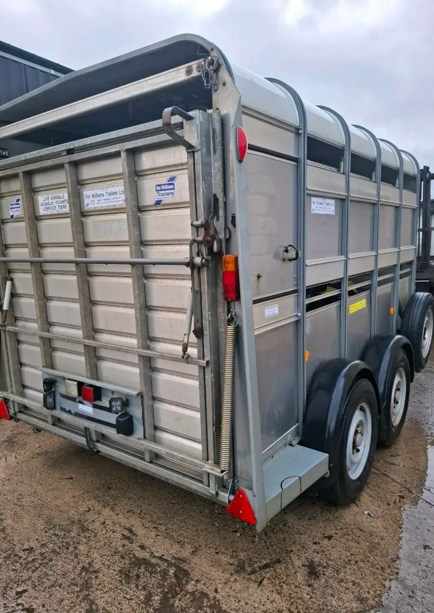 Sheep/cattle trailer 10x6 fold up sheep decks - Image 3