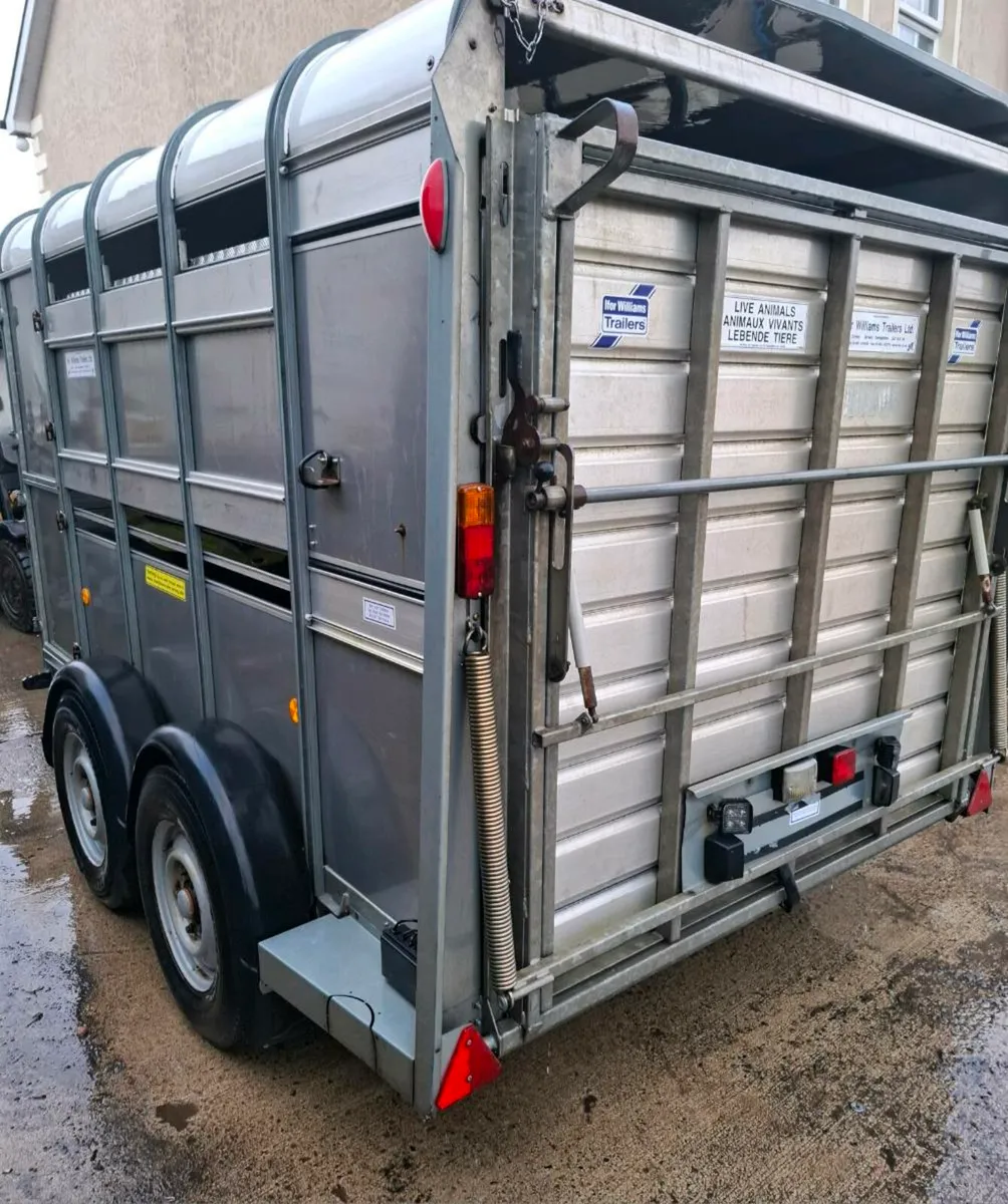 Sheep/cattle trailer 10x6 fold up sheep decks - Image 1