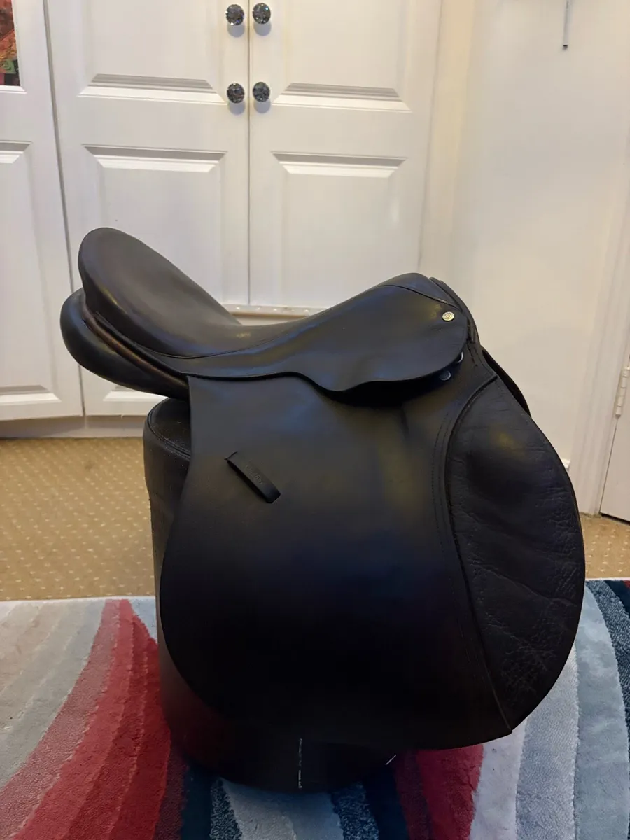 BERNEYS BROS SADDLE - Image 3