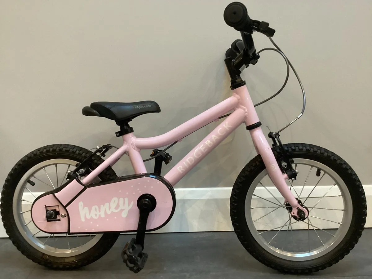 BLACK FRIDAY - PINK BIKE - Image 1