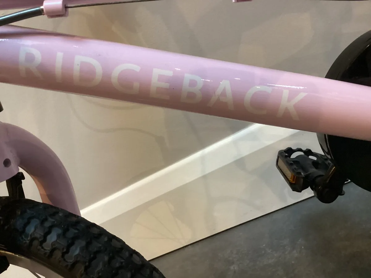 BLACK FRIDAY - PINK BIKE - Image 2