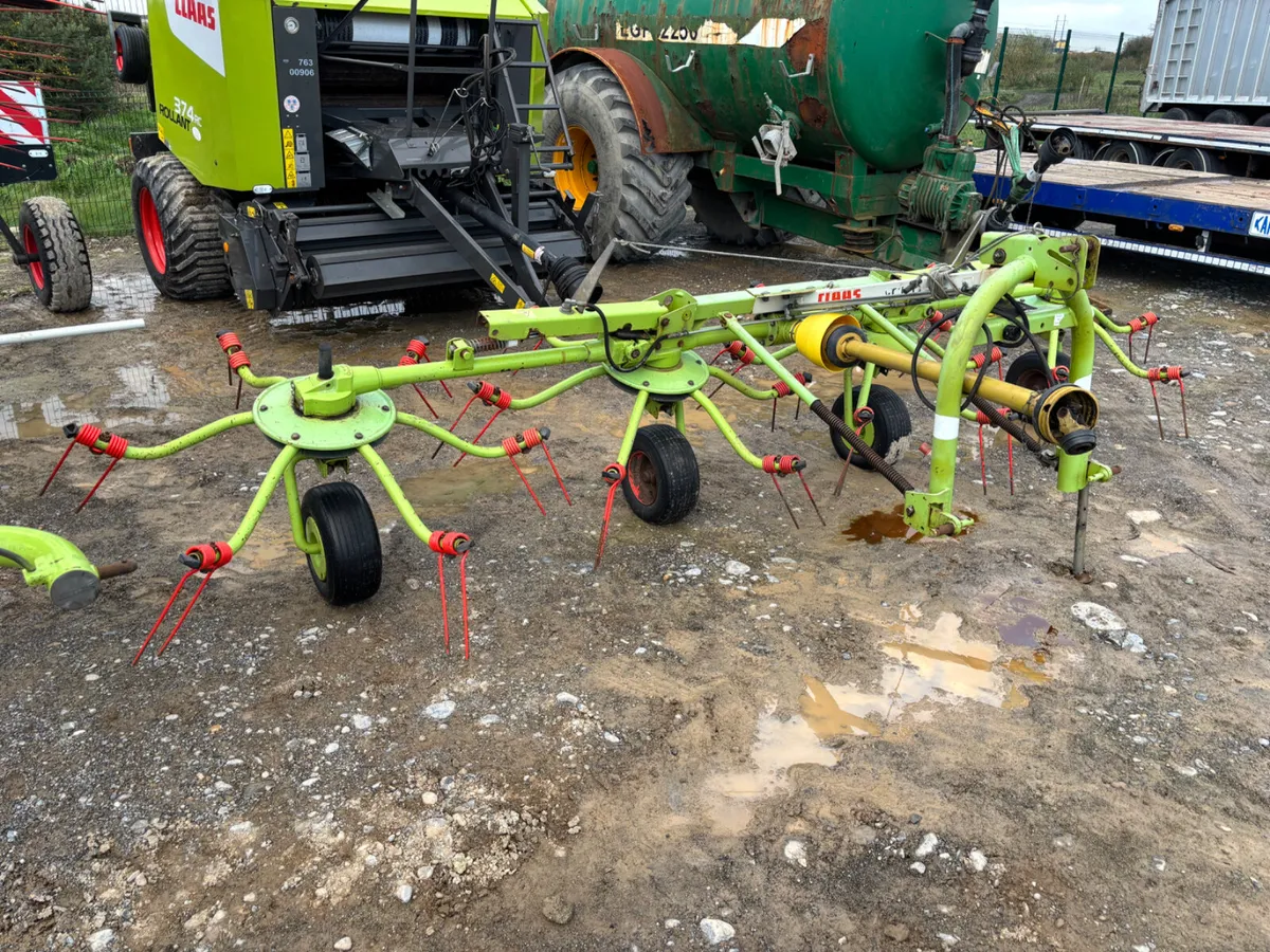 Auction Yard Full @ Portlaoise - Image 4