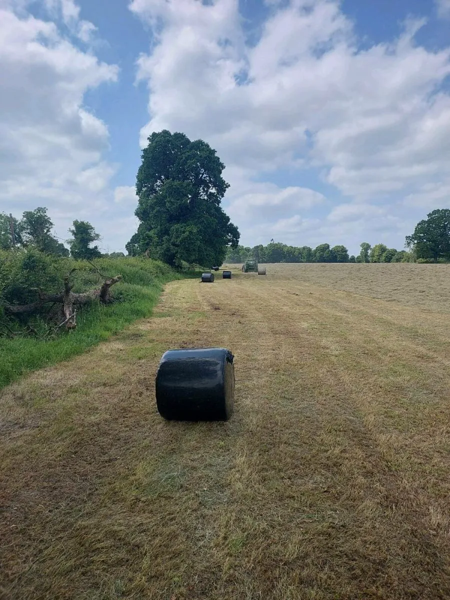 Silage and Haylage - Image 1
