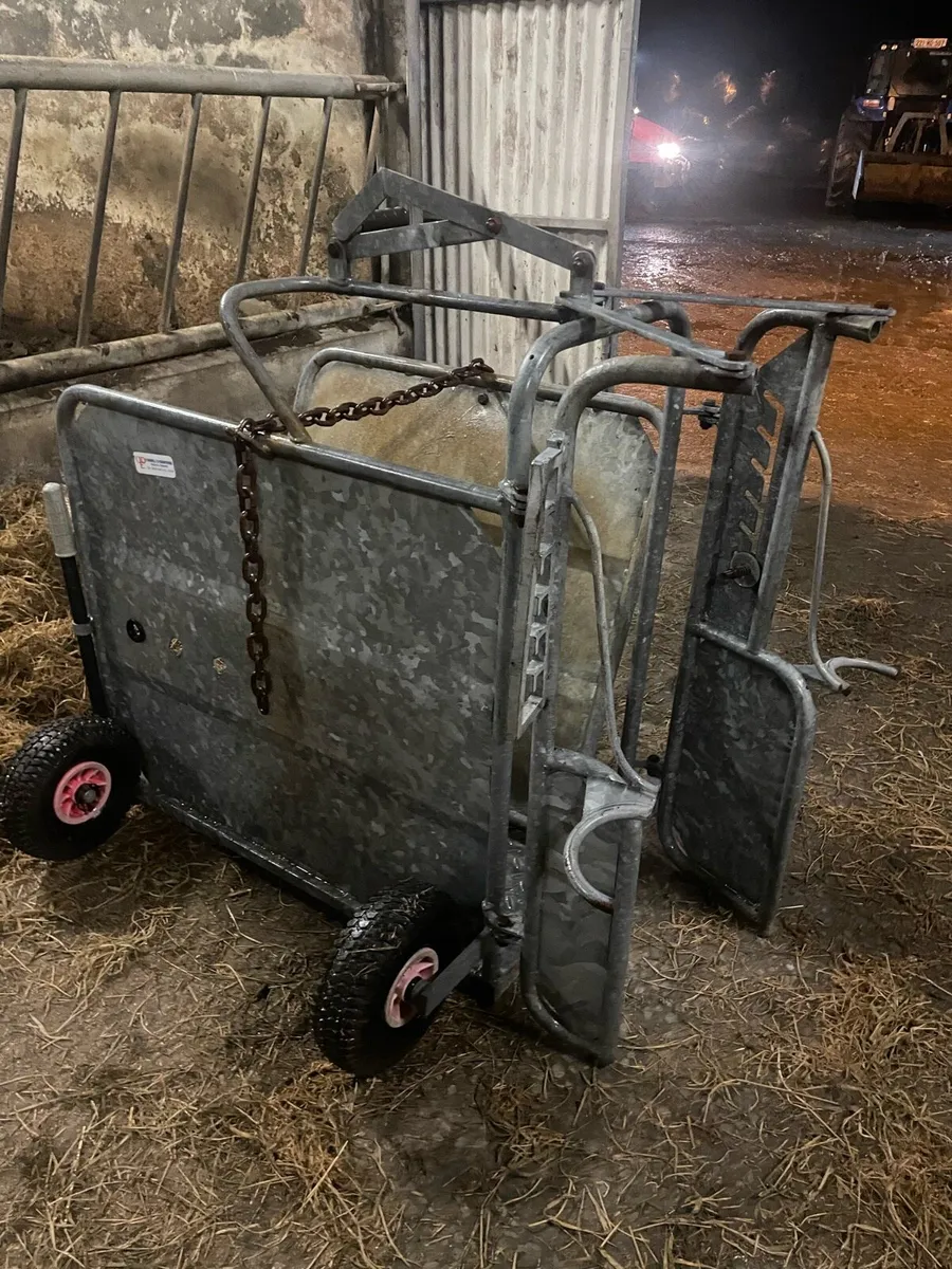 Calf dehorning crate - Image 2