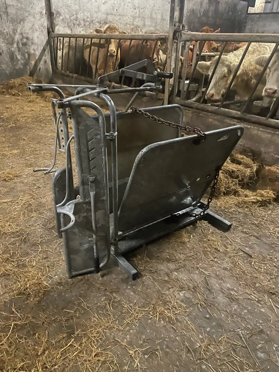 Calf dehorning crate - Image 1
