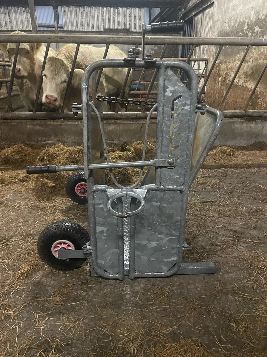 Calf dehorning crate - Image 4