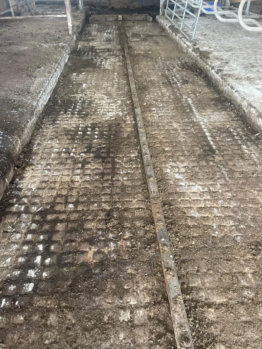 Dairy Power scrapers - Image 3