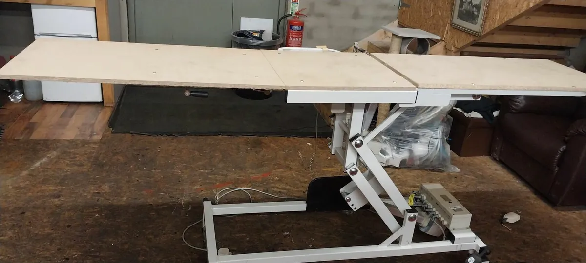 Electric lifter - Image 2