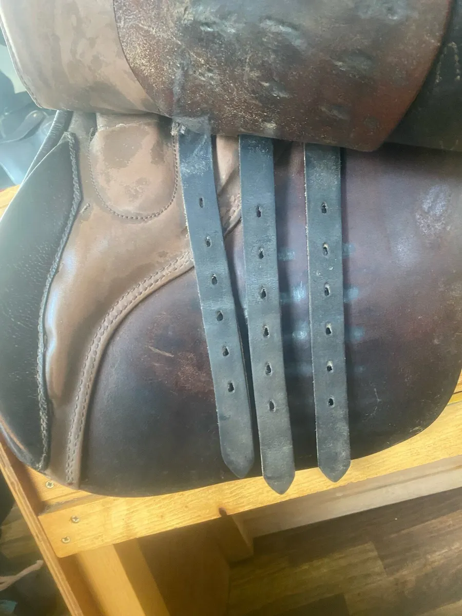 17.5-18 brown Leather saddle - Image 4