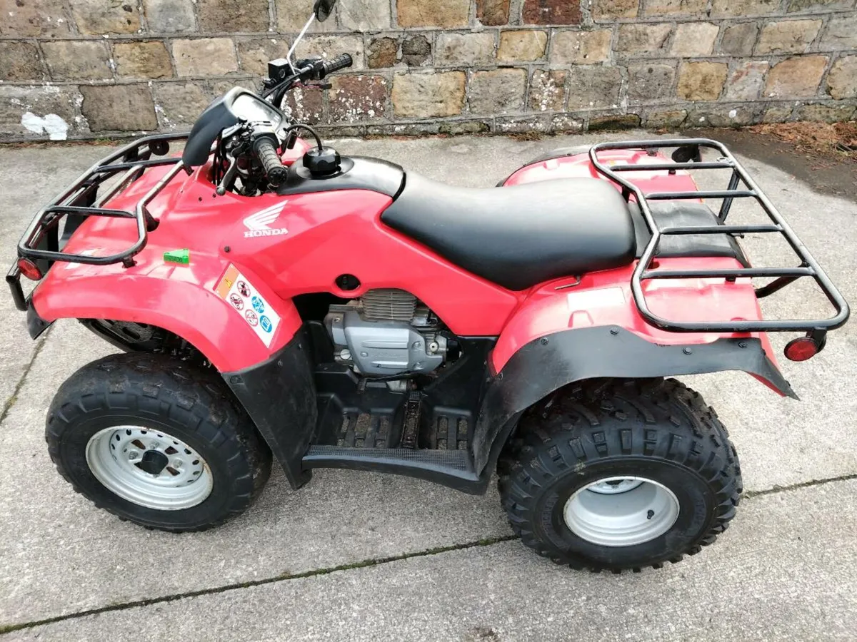Honda TRX 250 - Image 3