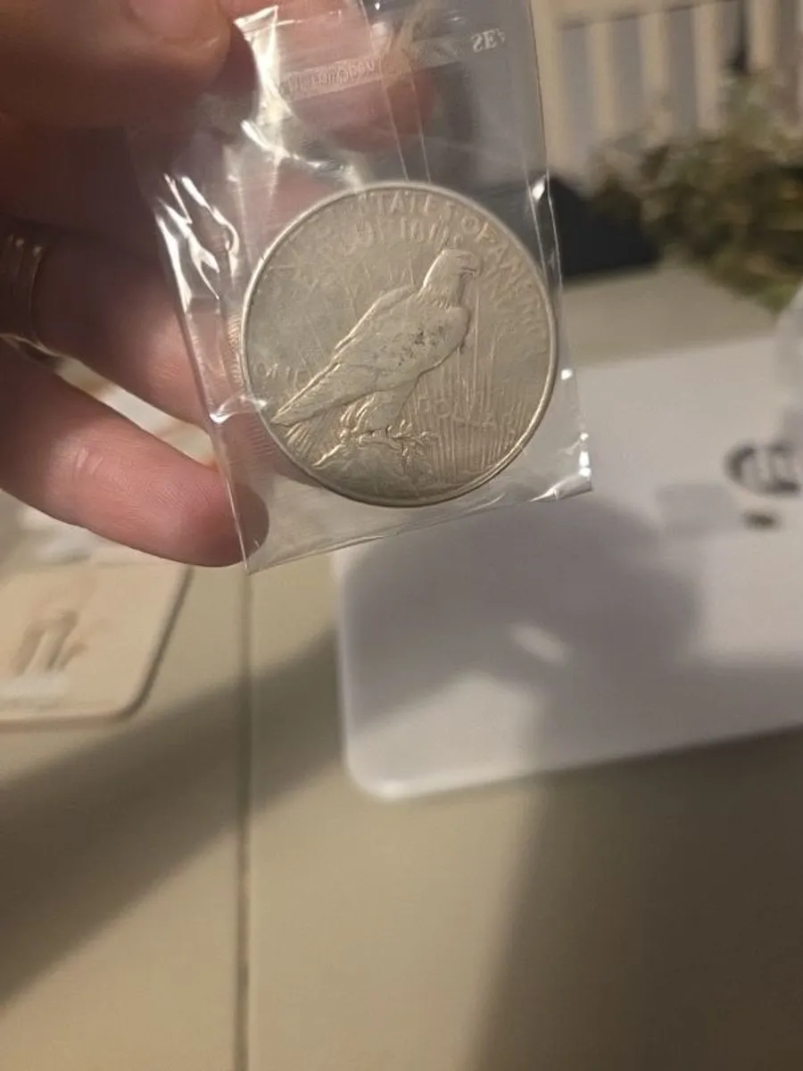 American Silver Dollar - Image 1