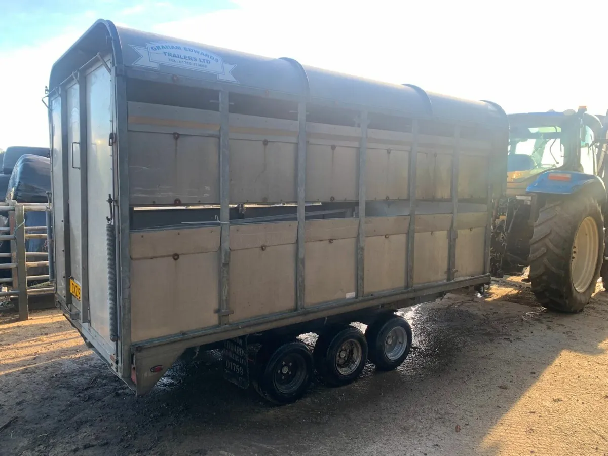 12ft Graham Edwards cattle trailer - Image 1