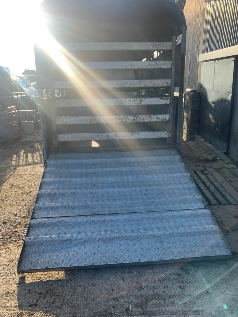 12ft Graham Edwards cattle trailer - Image 4