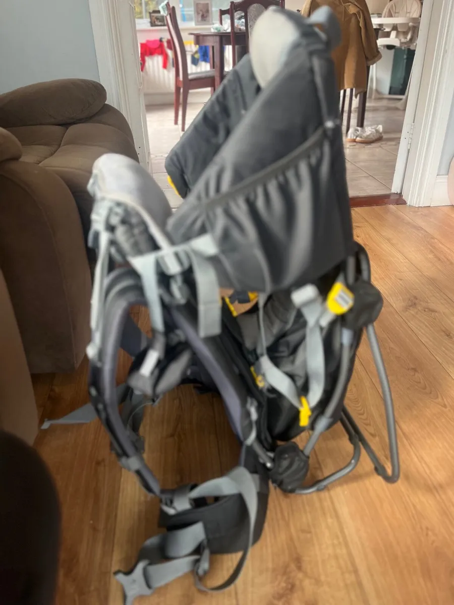 Baby Carrier paid €300 selling for €150 - Image 2