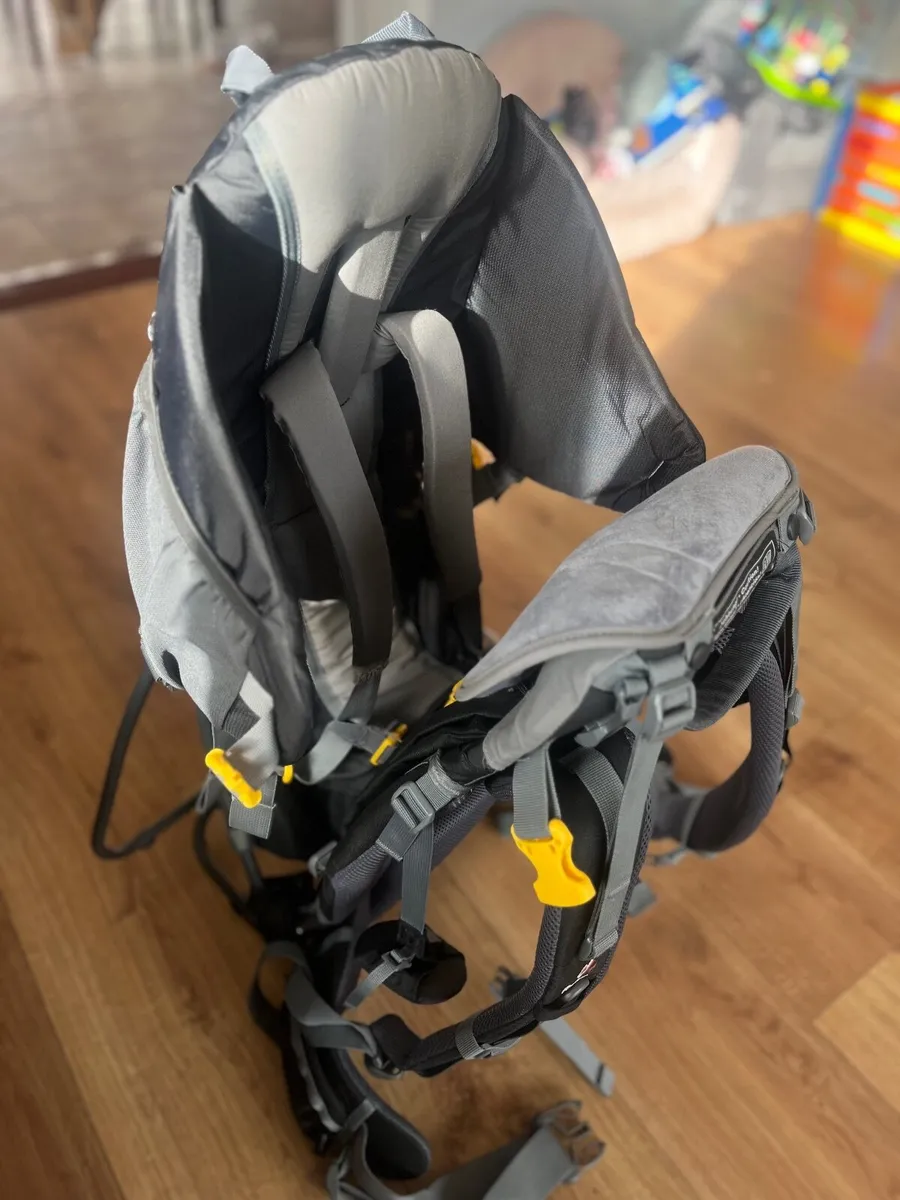 Baby Carrier paid €300 selling for €150 - Image 3