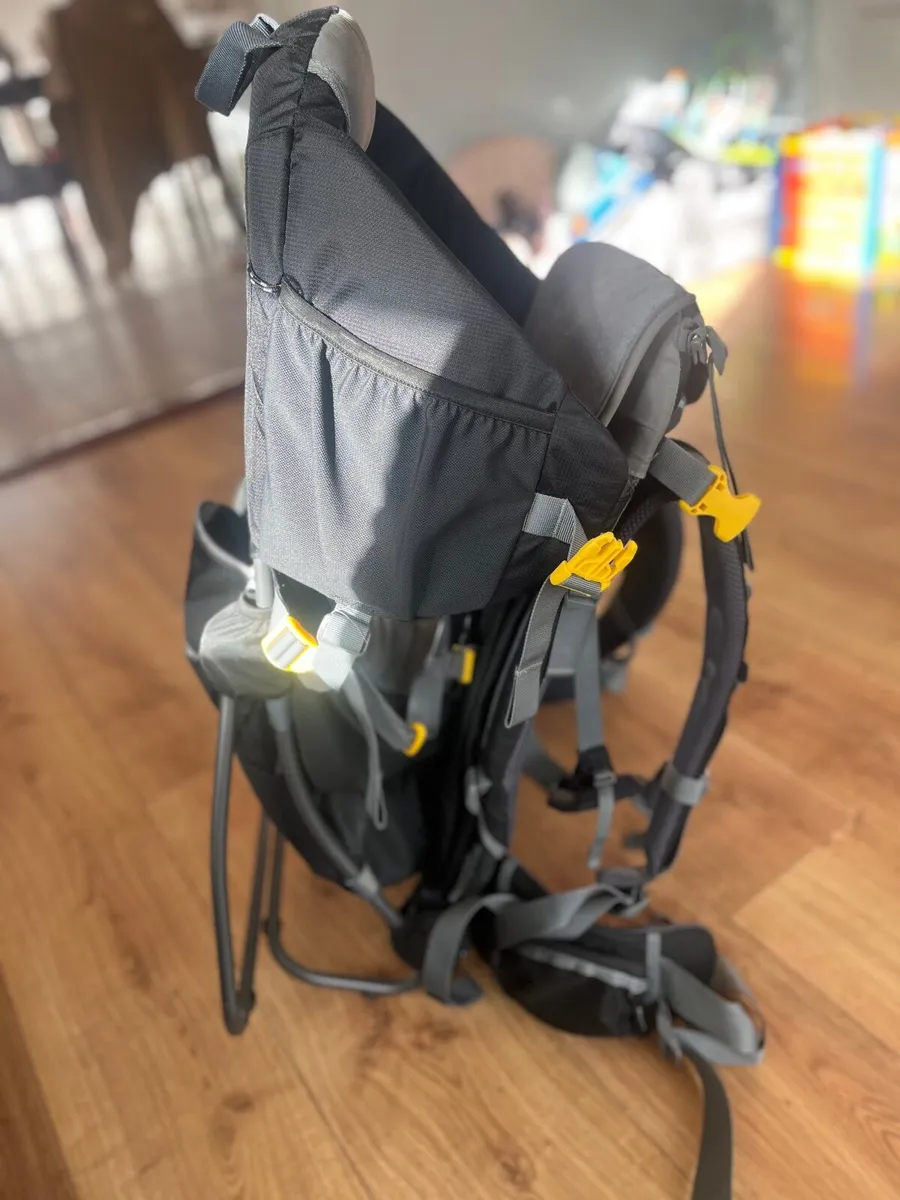 Baby Carrier paid €300 selling for €150 - Image 4