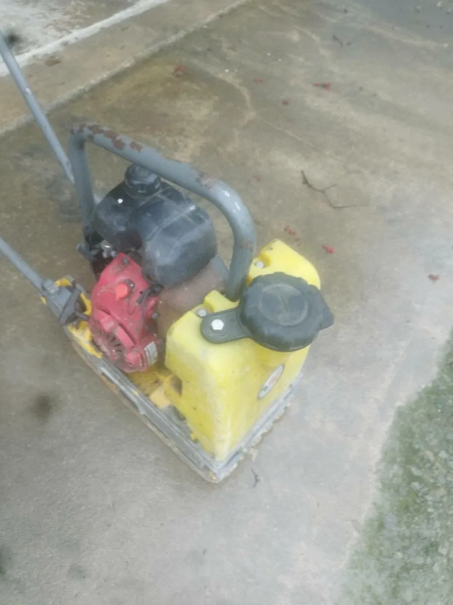 Water plate - Image 2