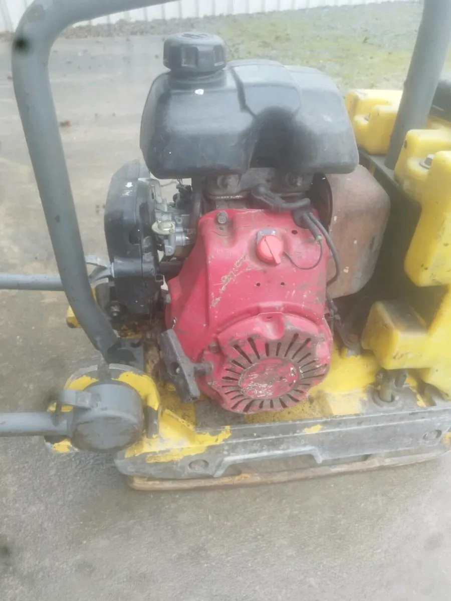 Water plate - Image 3