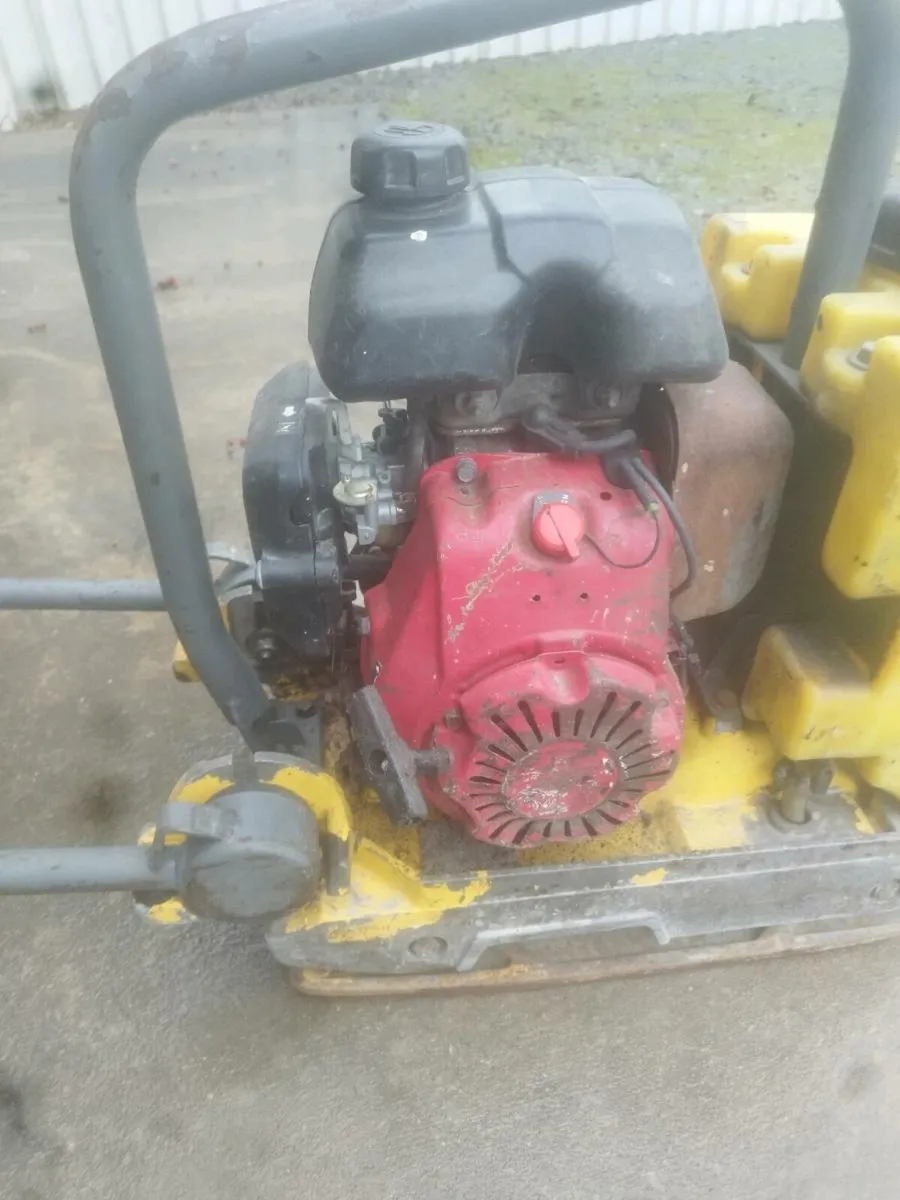 Water plate - Image 4