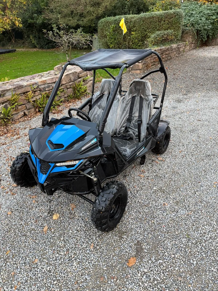 Quadzilla stingray 210 - Image 1