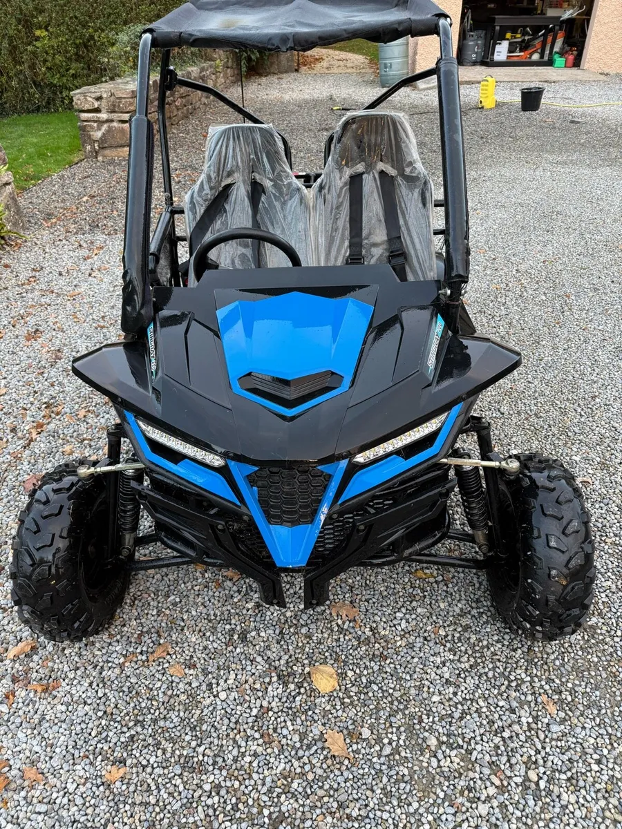 Quadzilla stingray 210 - Image 2
