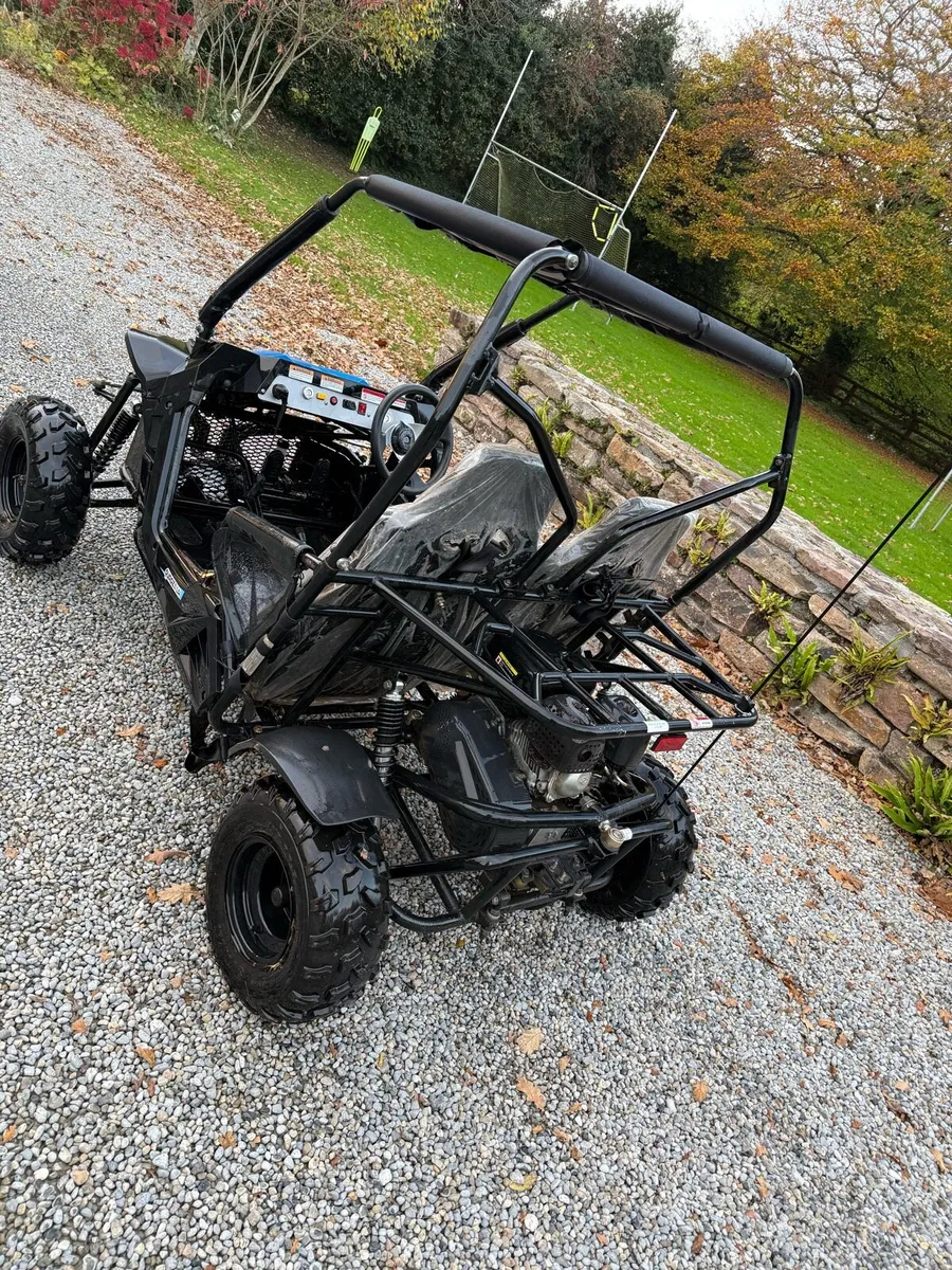 Quadzilla stingray 210 - Image 3