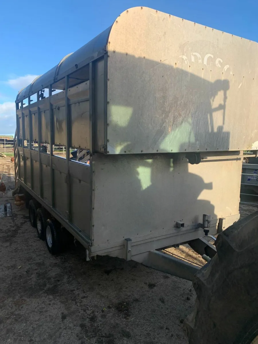 12ft Graham Edwards cattle trailer - Image 2