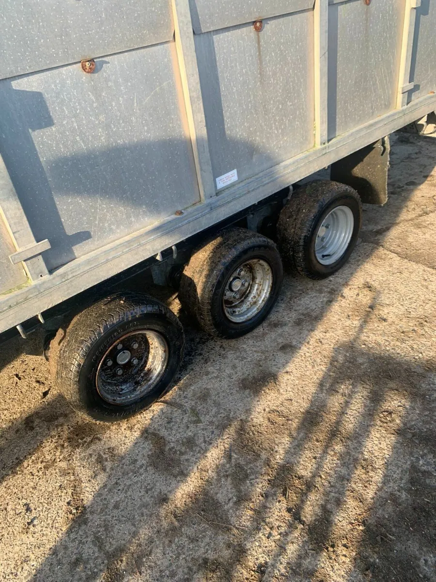 12ft Graham Edwards cattle trailer - Image 3