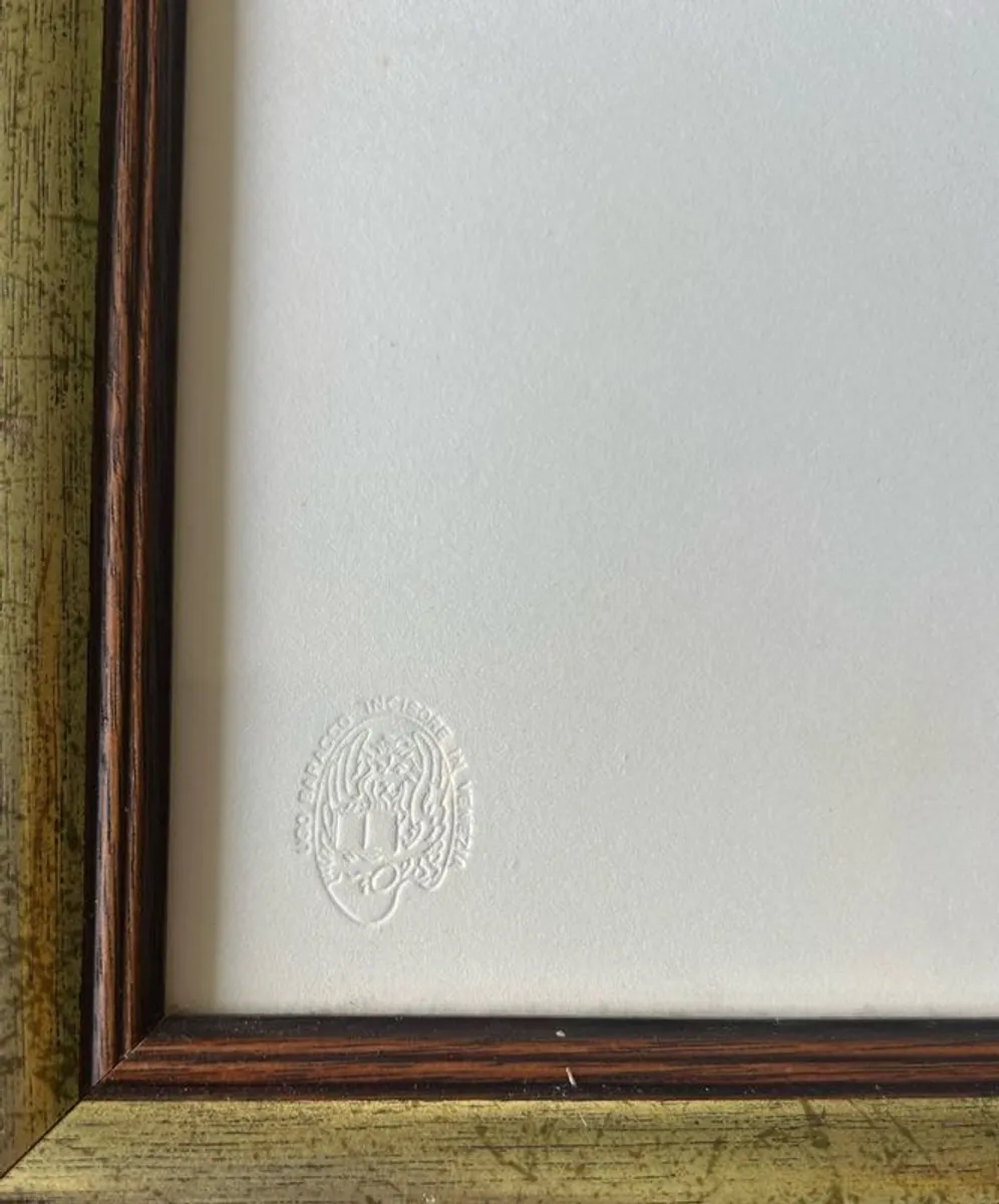 Original Etching by Italian artist Ugo Baracco - Image 4