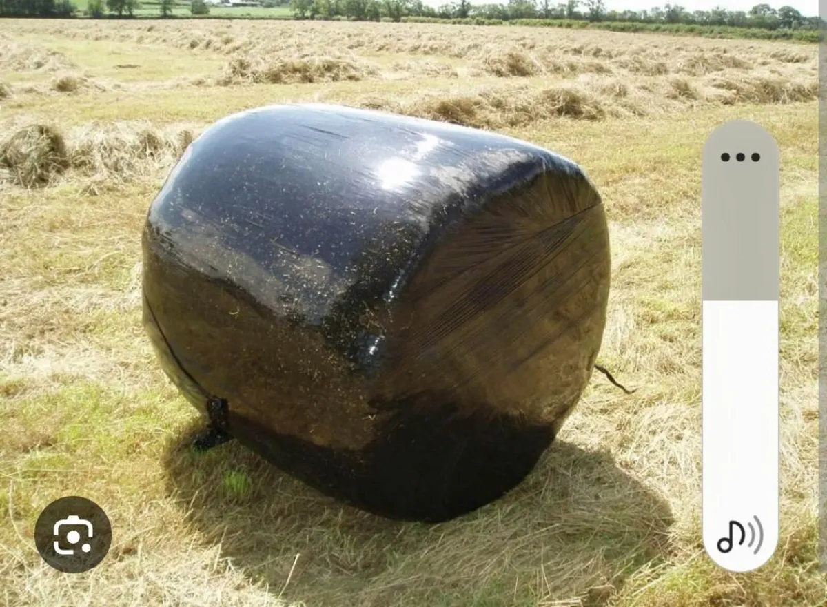 Round Silage Bales - Image 1