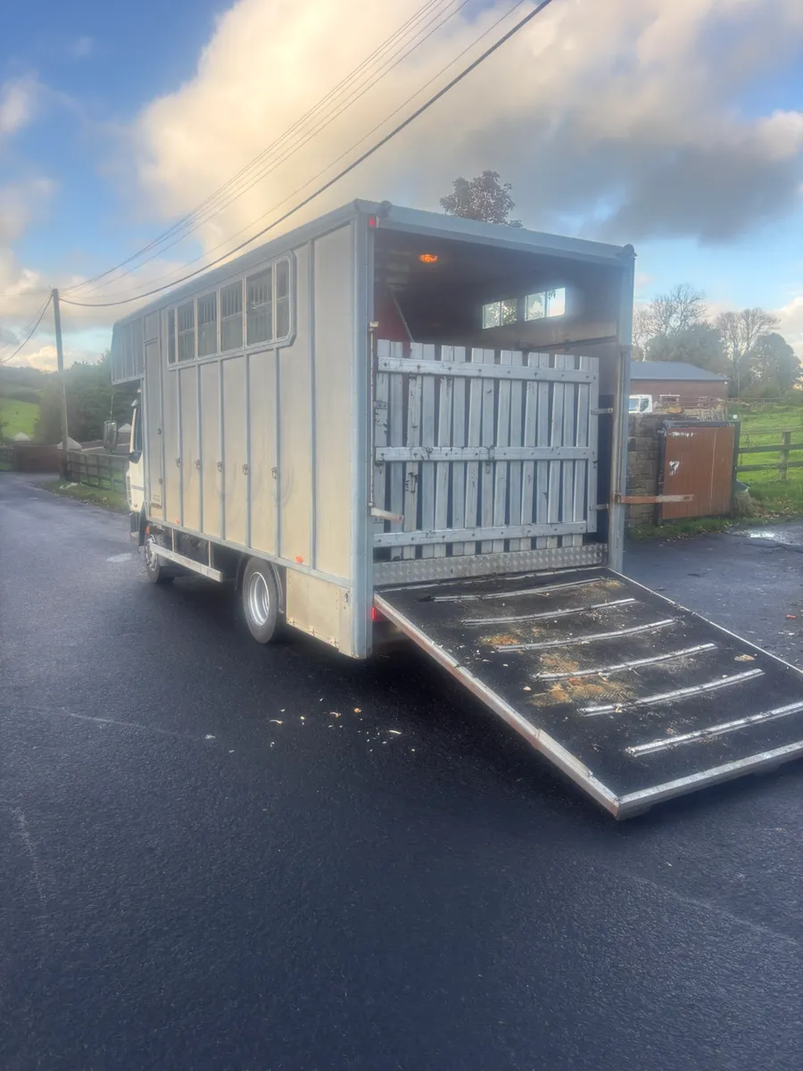 Daf lf Tri star - Image 3