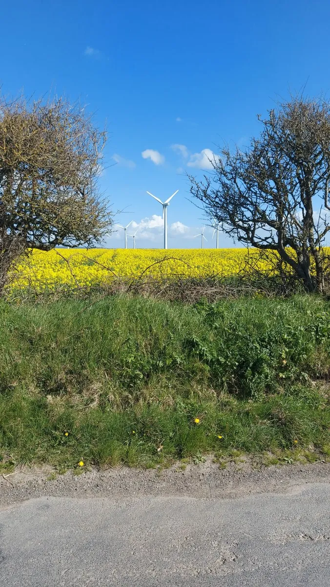 Pure Delicious Natural Honey - Image 3