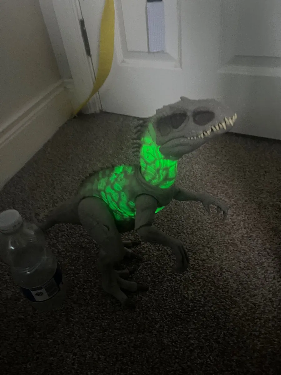 Large Dinosaurus - Image 2