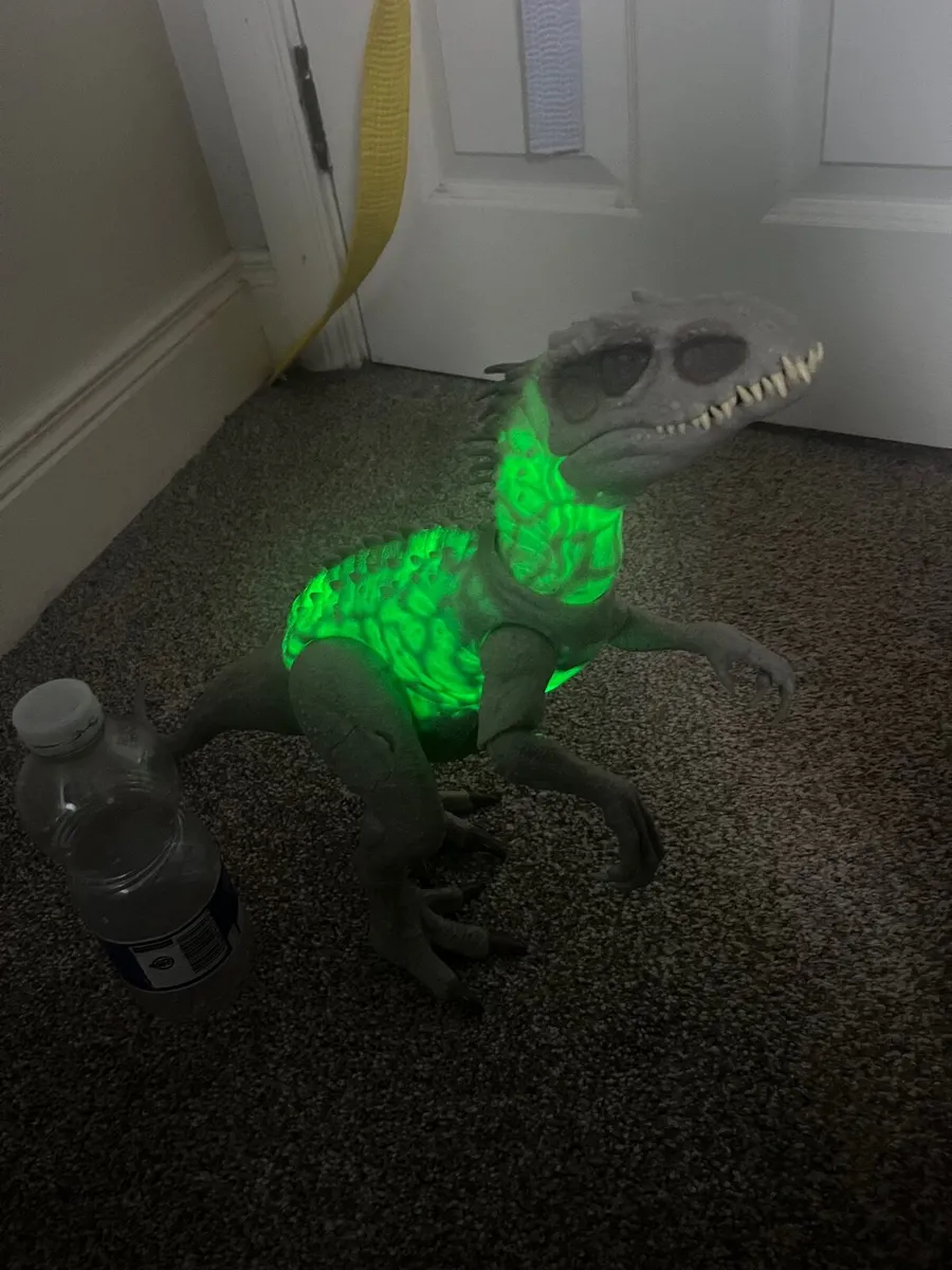 Large Dinosaurus - Image 4