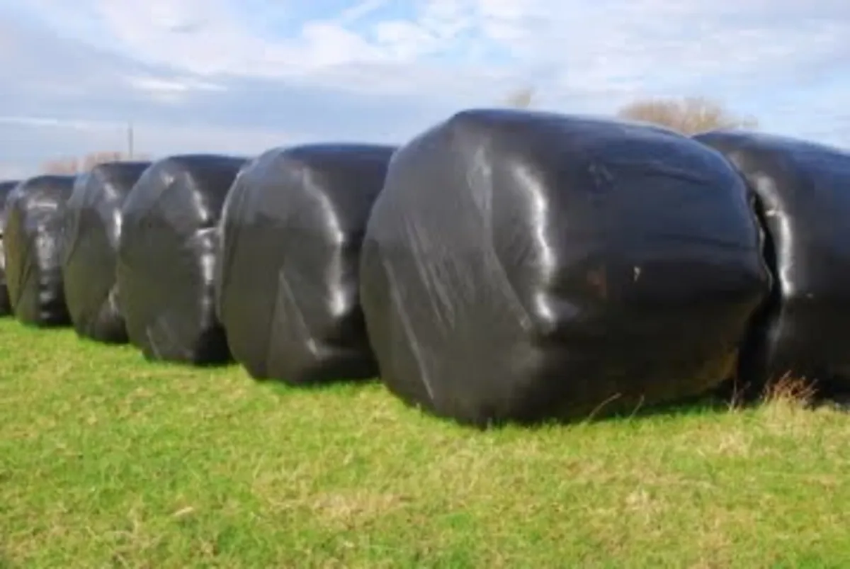 Round silage bales