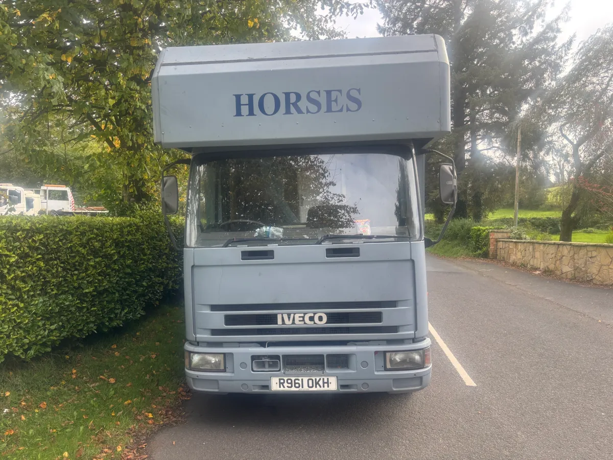 Iveco horse lorry - Image 3