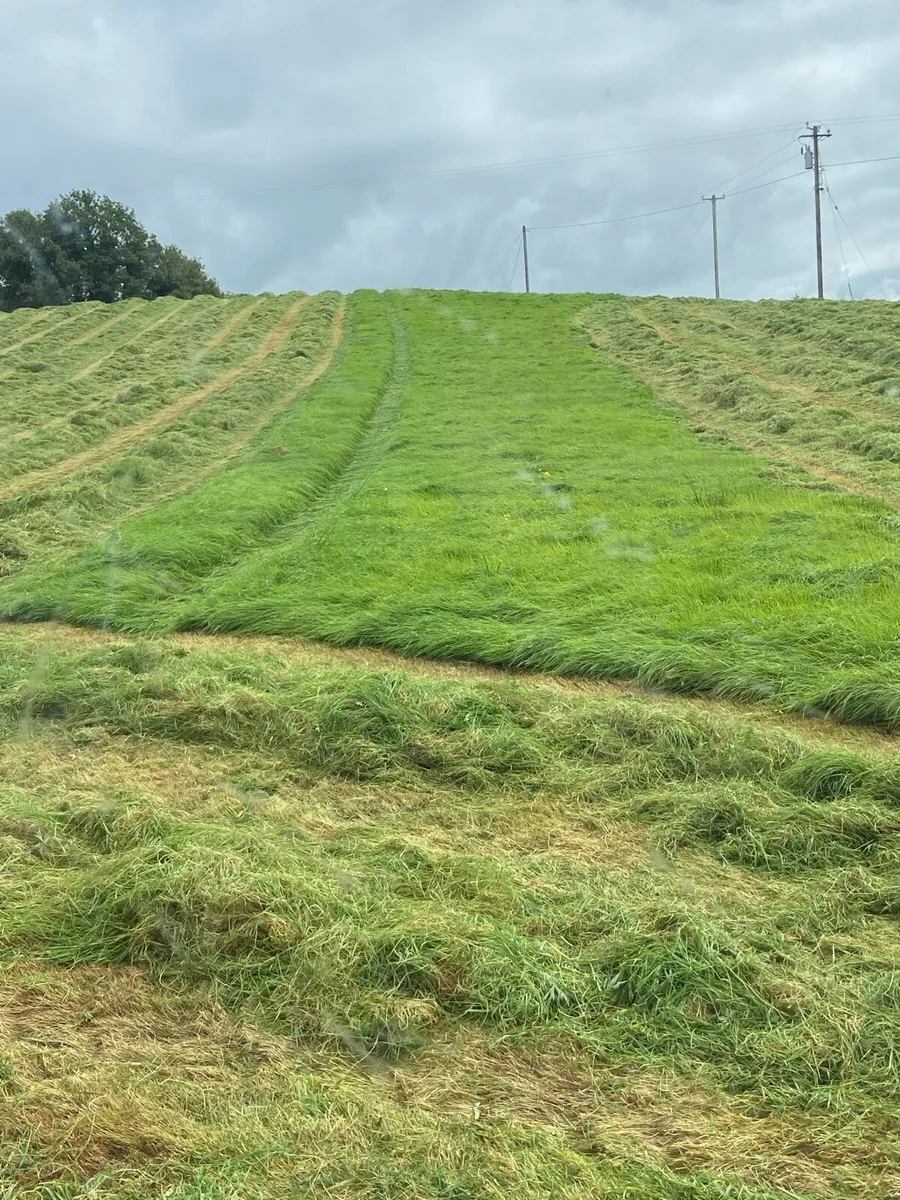 37 silage bales - Image 1