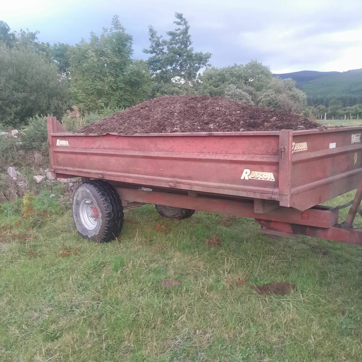 Mushroom compost - Image 1