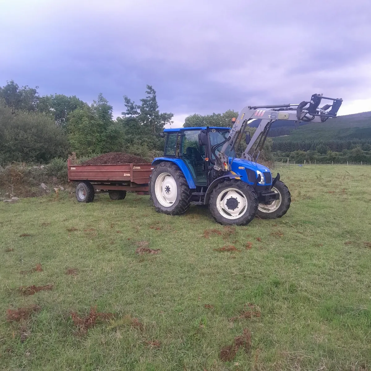 Mushroom compost - Image 2