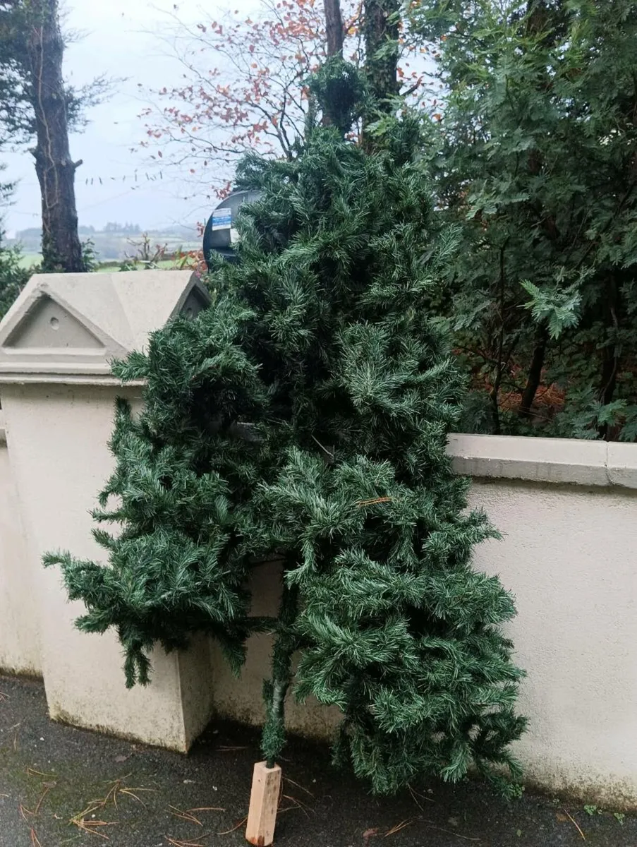 Christmas tree 6ft 10EURO - Image 1