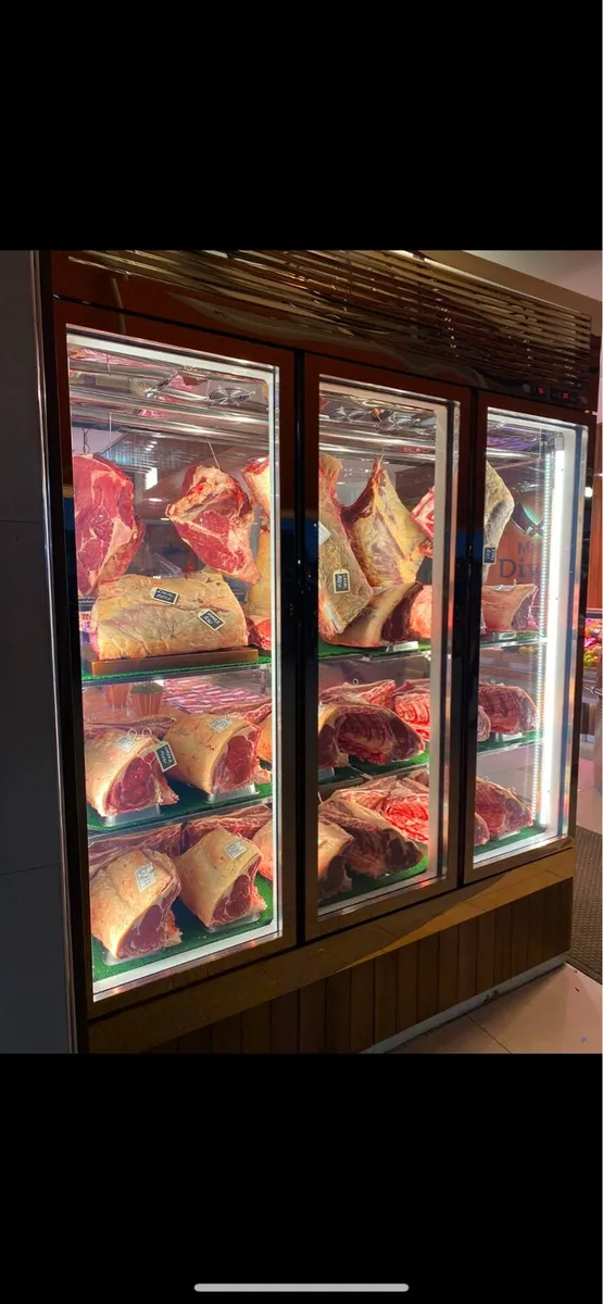 Beef dry Ager - Image 3